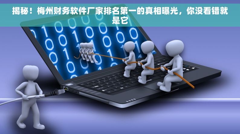 揭秘！梅州財務軟件廠家排名第一的真相，你沒看錯就是它