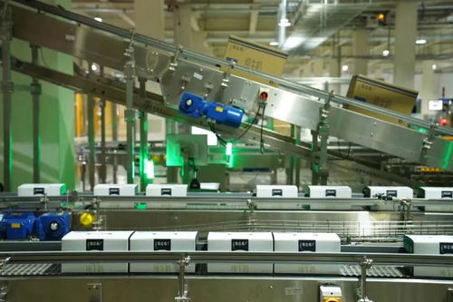 數(shù)字監(jiān)控系統(tǒng) 實(shí)現(xiàn)牛奶從牧場(chǎng)到包裝下線13小時(shí)高效管控